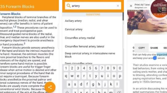 Gameplay screenshot from atlas of ultrasound anesthesia for Android