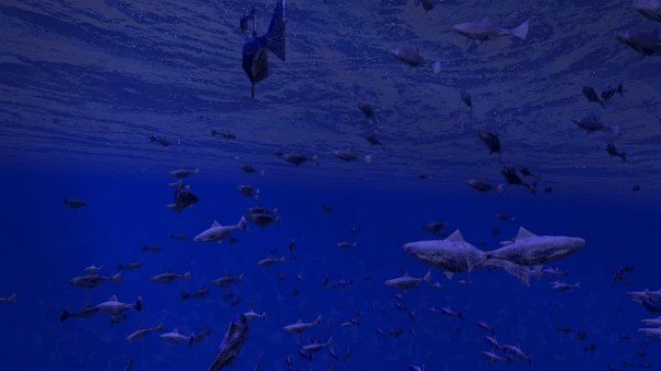 Gameplay screenshot from be a fish vr simulator for Android