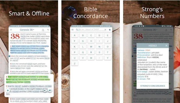 Gameplay screenshot from bible concordance and strongs offline for Android