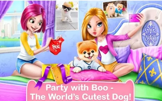 boo the world s cutest dog