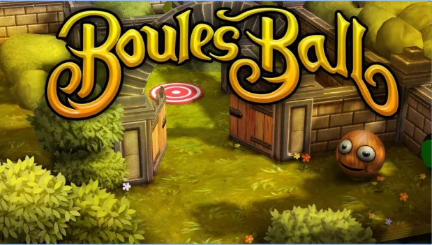  Boules Ball