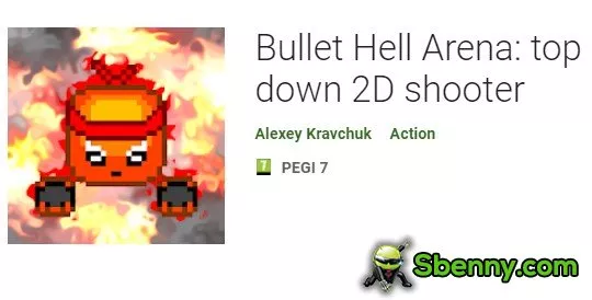 bullet hell arena top down 2d shooter