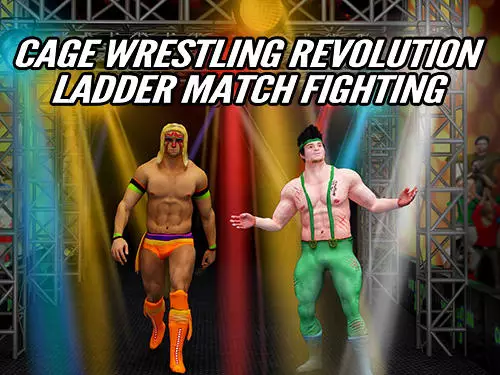 cage wrestling revolution ladder match fighting