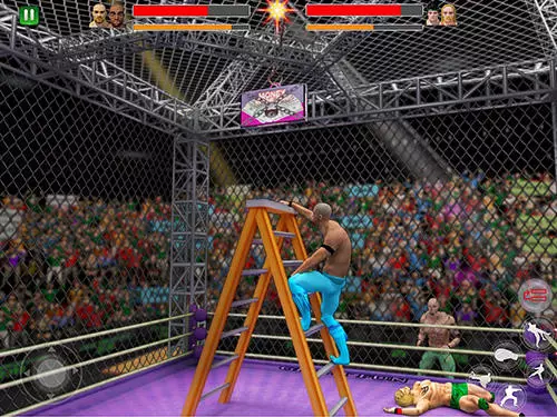 Gameplay screenshot from cage wrestling revolution ladder match fighting for Android
