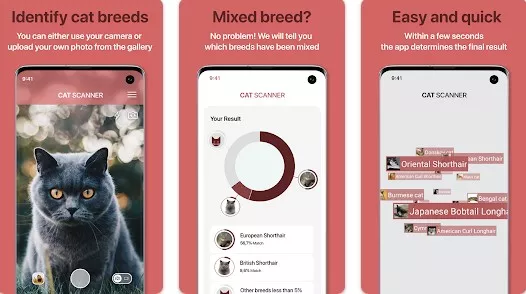 Gameplay screenshot from cat scanner breed recognition for Android
