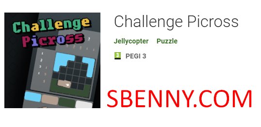 challenge picross