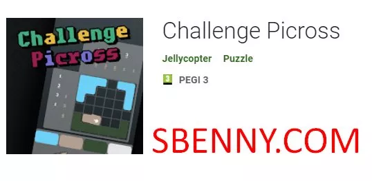 challenge picross