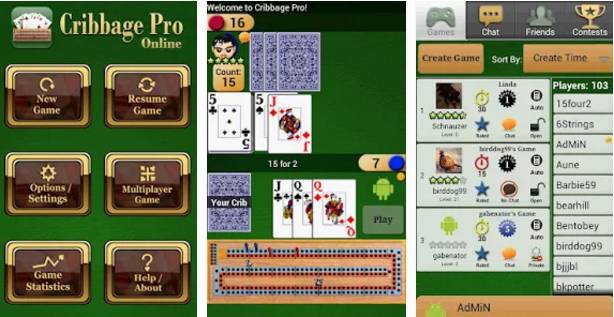  Cribbage Pro Online!