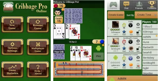  Cribbage Pro Online!