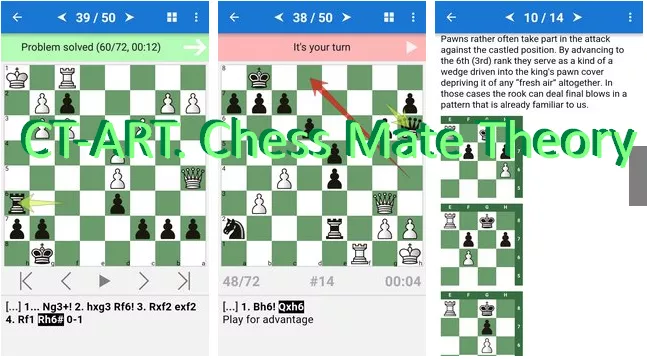  CT-ART. Chess Mate Theory