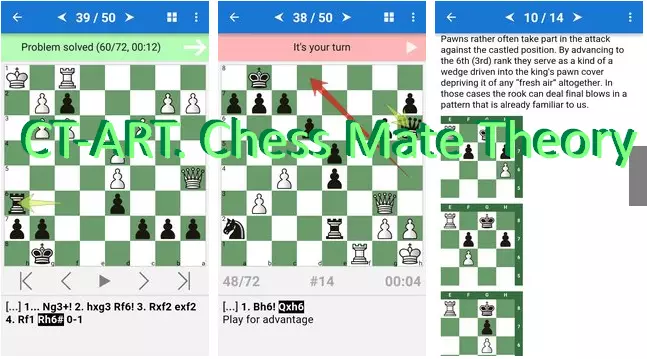 CT-ART. Chess Mate Theory