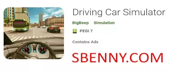 driving car simulator