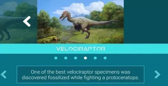 Gameplay screenshot from discovering the dinosaurs for Android