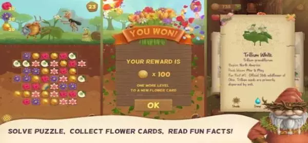 Gameplay screenshot from flower book match 3 puzzle game for Android