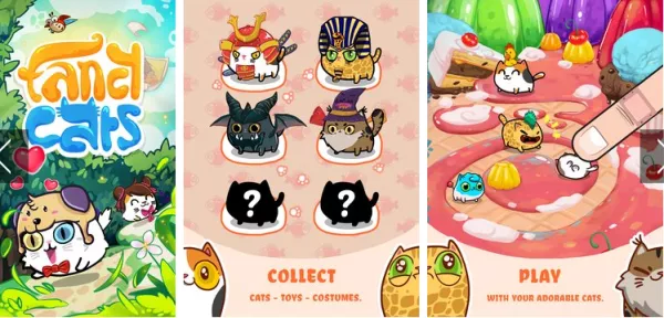 fancy cats
