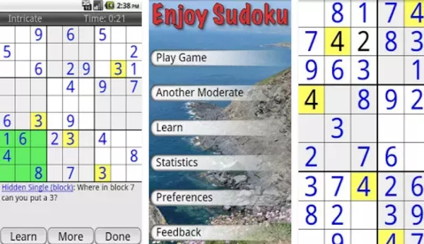 Gameplay screenshot from enjoy sudoku for Android