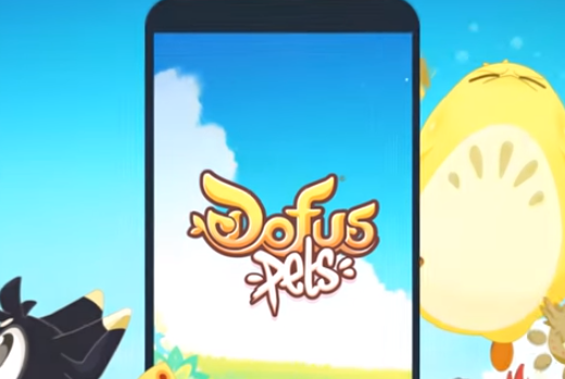 dofus pets