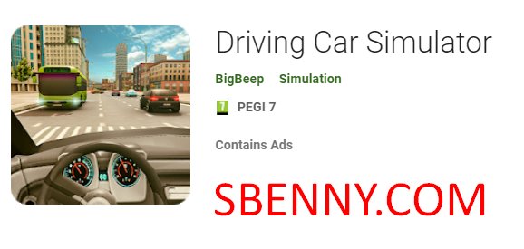 driving car simulator