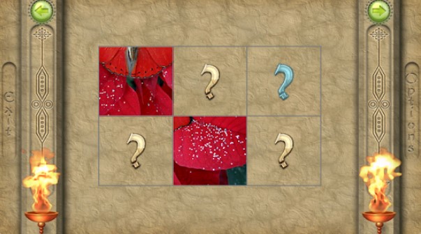Gameplay screenshot from flippix jigsaw camouflage for Android
