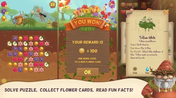Gameplay screenshot from flower book match 3 puzzle game for Android