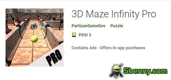 3d maze infinity pro
