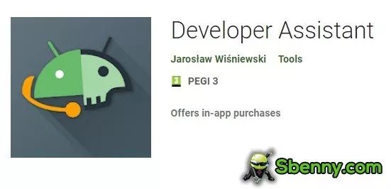 developer assistant