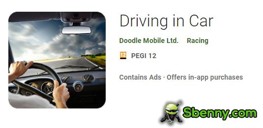 driving in car