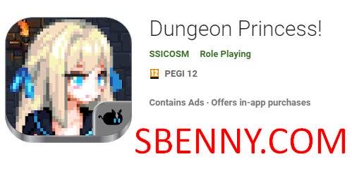 dungeon princessmod