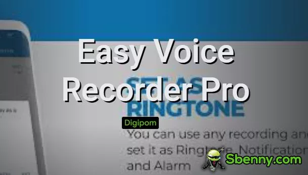  Easy Voice Recorder Pro