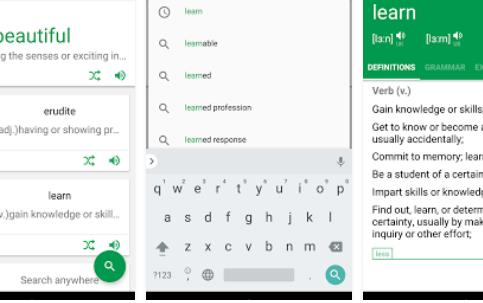 Gameplay screenshot from erudite dictionary translator and widget  for Android