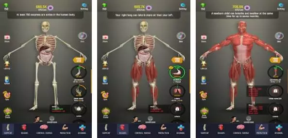 Gameplay screenshot from idle human for Android