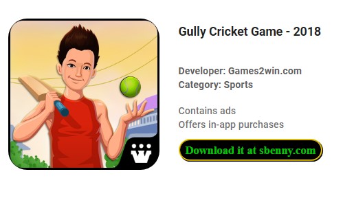 gully cricket juego 2018