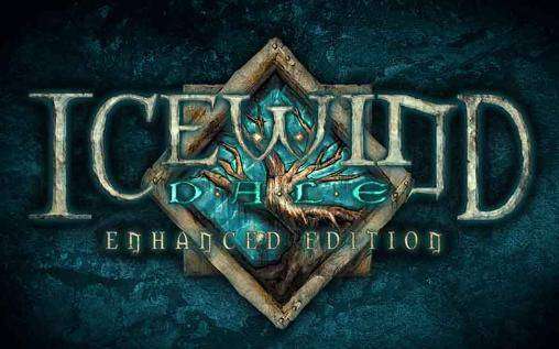 Icewind Dale: Enhanced Edition