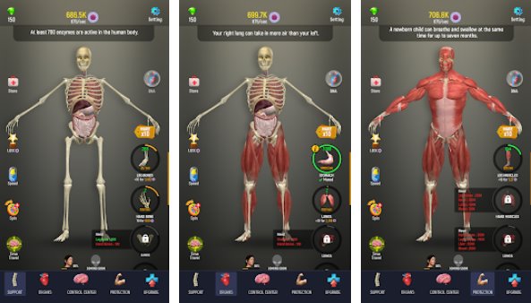 Gameplay screenshot from idle human for Android