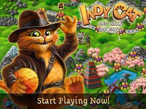 indy cat match 3