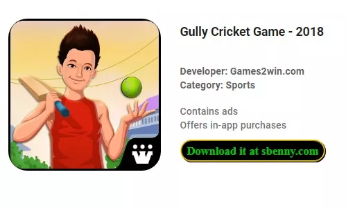 gully cricket game 2018