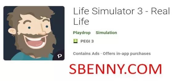 life simulator 3 real life