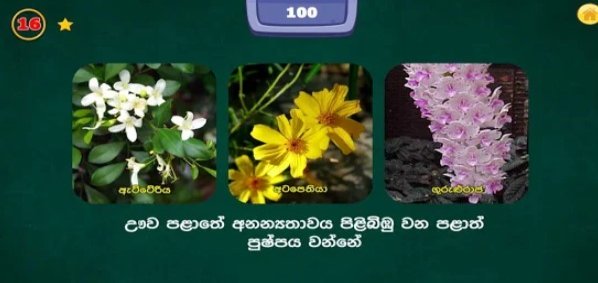 Gameplay screenshot from kirana for Android