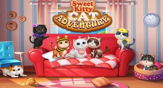 kitten party cat home decorate
