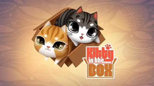kitty in the box