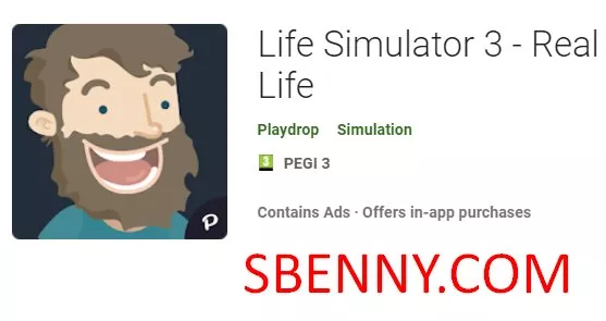  Life Simulator 3 - Real Life