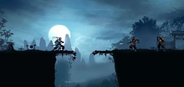 Gameplay screenshot from ninja warrior legend of shadow fighting games for Android