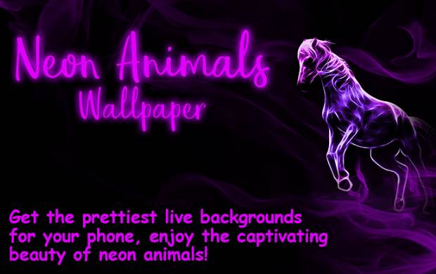 Neon Animal Backgrounds  Desktop Image