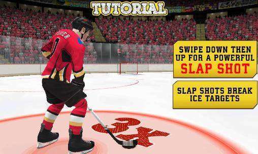 NHL Hockey Target Smash 