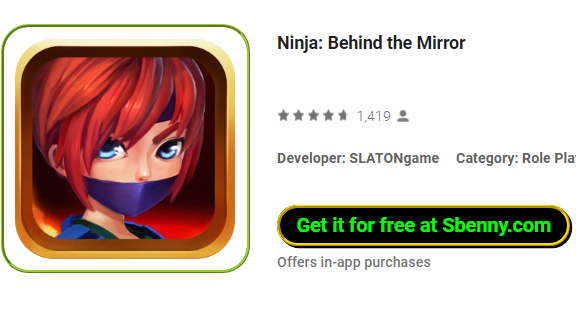 Ninja hinter dem Spiegel