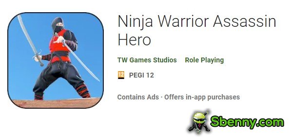 Ninja Krieger Attentäter Held