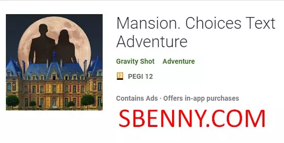  Mansion. Choices Text Adventure