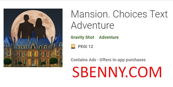  Mansion. Choices Text Adventure