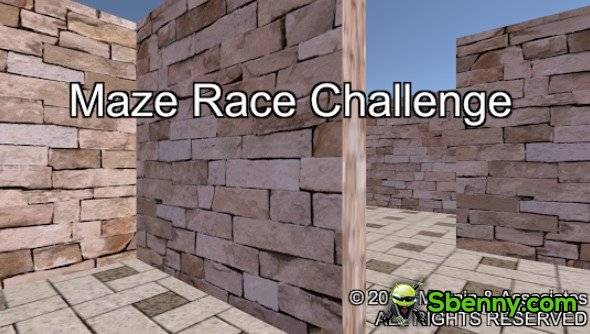  Maze Race Challenge APK