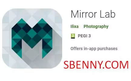 mirror lab